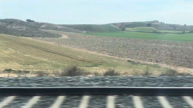 Скоростной  поезд Аликанте - Мадрид | Alicante - Madrid Tren