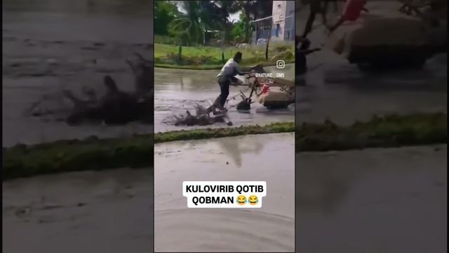 1000001069.mp4 смотреть онлайн