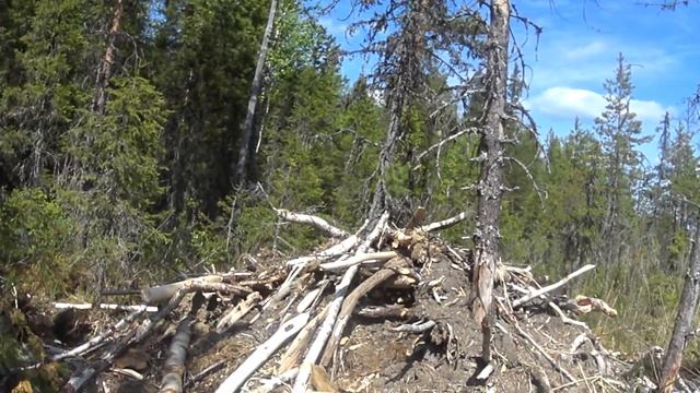 на каракате в избушку .18+. смотреть онлайн