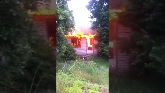 сокол Липецк 9.06.17 смотреть онлайн