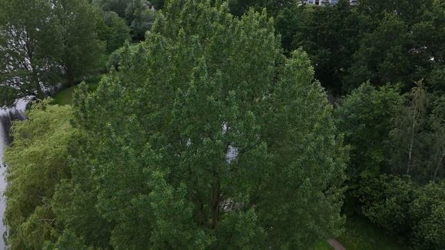 DJI Mini 4 PRO | 4K Nature | Amersfoort Netherlands | A1/A3 Licenced смотреть онлайн