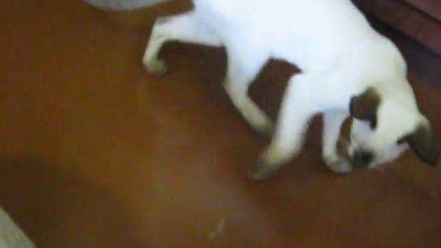 MVI 6143 смотреть онлайн