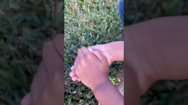 We almost adopted the frog 🐸 #shorts смотреть онлайн