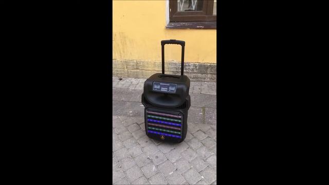 Акустическая система Avcrowns CH-4312 Bluetooth играет на улице смотреть онлайн