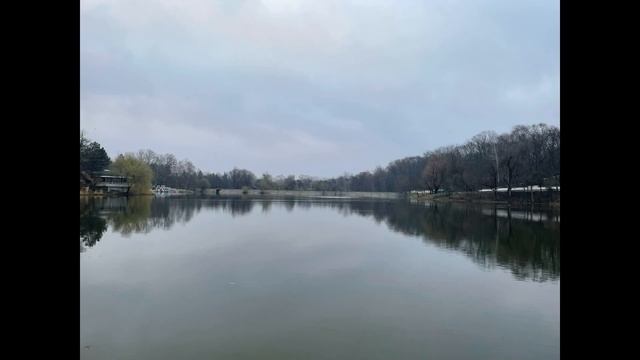 Свет победил, змеиной кожи больше нет смотреть онлайн