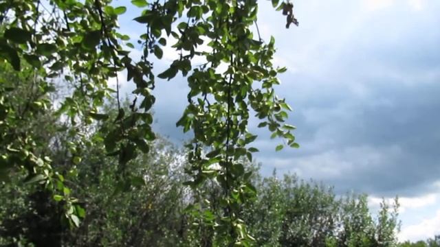 На хлад сырой кривых зеркал... смотреть онлайн