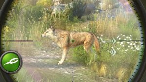 игра охота на животных