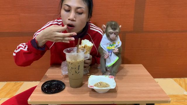 Adorable baby monkey ROJO carrying bread for breakfast with mommy and drink coffee смотреть онлайн