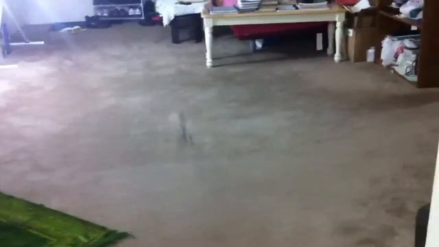 RC Heli Syma 107G from Amazon - Part 1 - Hover + Floor Glid смотреть онлайн