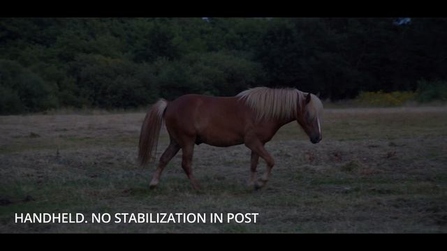 Top 3 Problems With Olympus 12-100 Mm