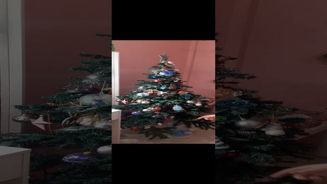 весёлая Настя показывает свою собаку моню смотреть онлайн