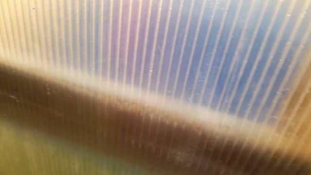 В гостях.Часть 2.