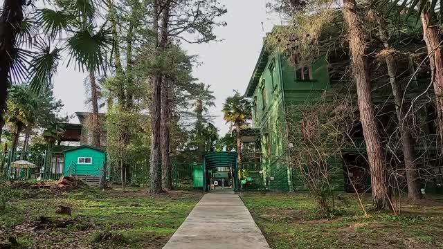 Сочи-23_День пятый