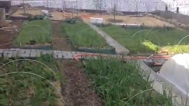 8. ОБЗОР ОГОРОДА в апреле - рассада на улице 15.04.16 смотреть онлайн
