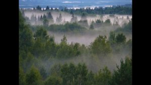 "Там, за лесом..." Слова и музыка: диакон Дмитрий Коваль