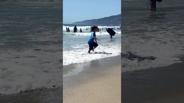 Калифорния опять удивила #shorts #жизньвкалифорнии #жизньвсша #losangeles #malibu смотреть онлайн