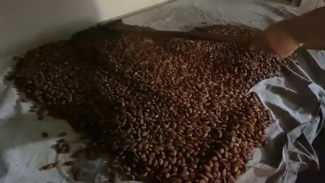 Ас- Саламалейкум,представляю вашему вниманию процесс приготовления лакомства под названием "Урбеч". смотреть онлайн