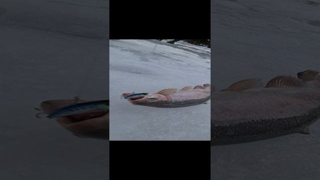 Поимка на раттлины смотреть онлайн