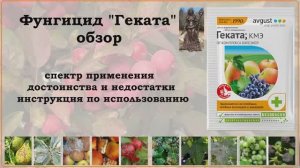Фунгицид Геката - новое средство от болезней плодовых деревьев, ягодных кустарников и винограда