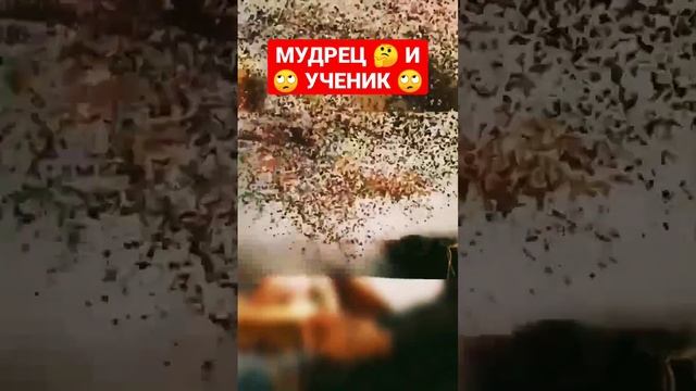 МУДРЕЦ И УЧЕНИК #shorts #short #притчи смотреть онлайн