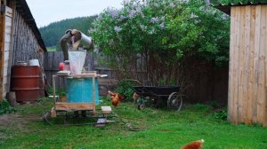 КУПИЛ 2 ДОМА В ДЕРЕВНЕ | ВРЕМЯ ПОСАДКИ ОГОРОДА | НАШИ ДНИ | ТРАКТОР НА ХОДУ