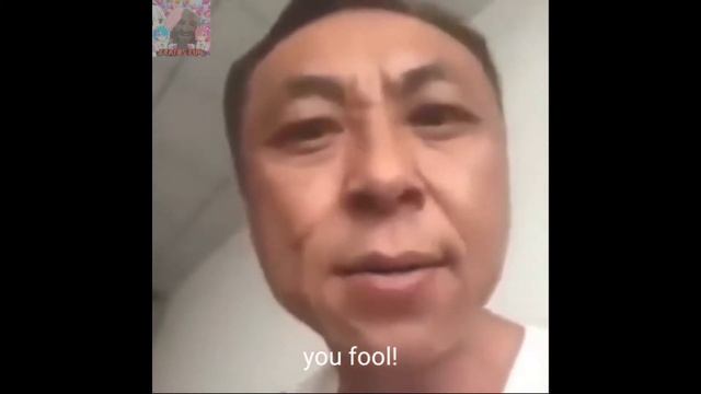 Angry chinese man yell at kitten but with subtitle смотреть онлайн
