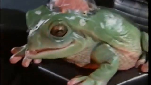 Walter the Einstein Frog Episode 2 смотреть онлайн