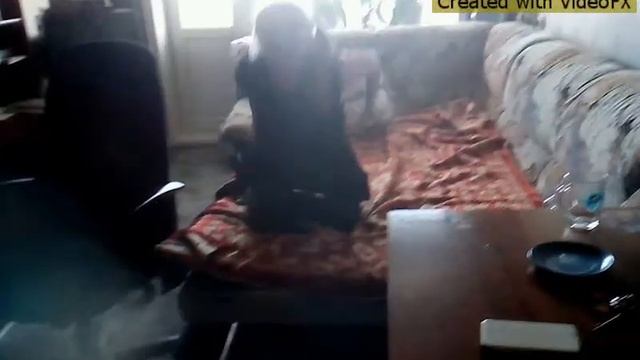 Купили мы лимонат смотреть онлайн