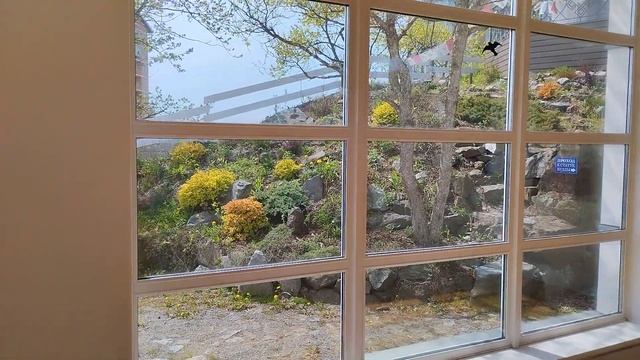 Будда-Центр (БЦ) Владивосток смотреть онлайн