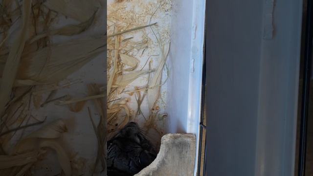 25 октября 2020 г. смотреть онлайн