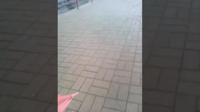 Влог Vlog #1 идем на вокзал и кормим голубей))) смотреть онлайн