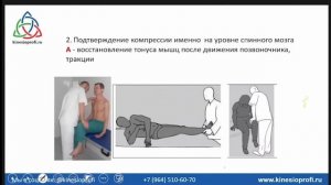 10 вопросов о боли в спине. Проф. Васильева о кинезиологии