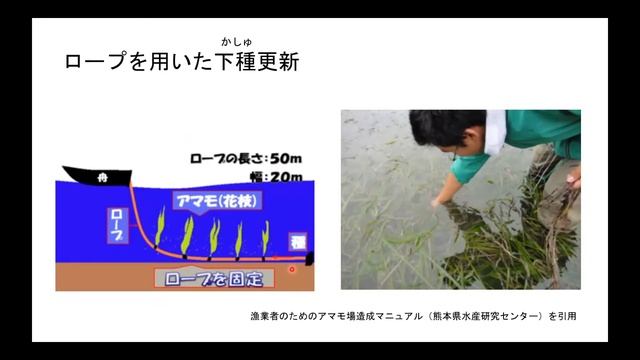 アマモ場の造成技術とブルーカーボン 梅原実悠・山岸秀樹（(株)東京久栄 смотреть онлайн