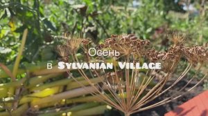 Sylvanian families 
Осень 
Сильвания фемилис