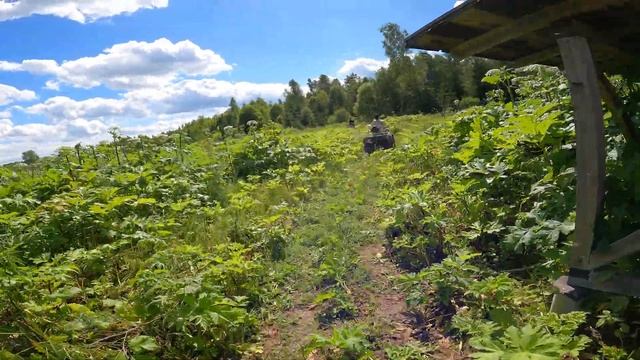 ЧТО ТАКОЕ ЯДРЁНЫЙ КАБАН/ПРОКАТ КВАДРОЦИКЛОВ В МО смотреть онлайн