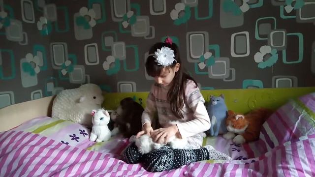 Мои плюшевые игрушки 😍😘🍉🍇🎂🍫 смотреть онлайн
