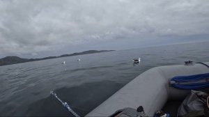 Морская рыбалка в Баренцевом море.  Июнь 2024 года.  Треска!