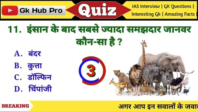 GK Question || GK In Hindi || Gk Questions And Answers || General Knowledge || Gk Quiz || GK HUB PR смотреть онлайн