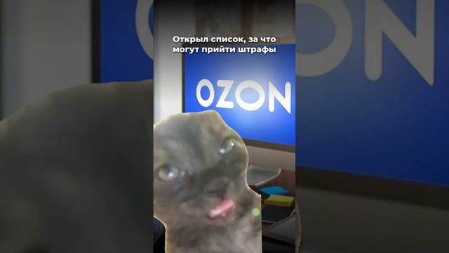 Начинающий селлер be like: . Читай описание! #shorts #ozon #товарка #маркетплейсы смотреть онлайн