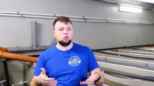 Белуга умирает. Проблемы выращивания и наш опыт