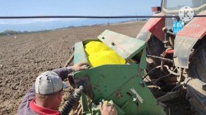 Сею люцерну GEA оригинал сеялкой Hassia на тракторе МТЗ 82 турбо