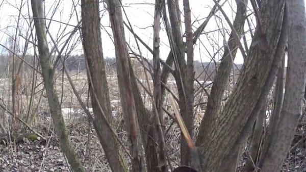 M-DISC Тест. Часть 1 - закладка дисков