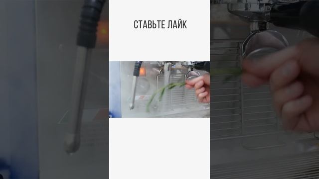 КАК ПРИГОТОВИТЬ ЛИМОНАД? ЛЕСНЫЕ ЯГОДЫ #coffee #shortvideo #share #shorts #short #lemonade #lemon смотреть онлайн