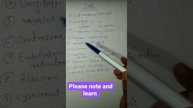 function of internal parts of cell #education смотреть онлайн