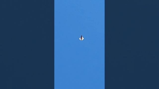 1 августа 2024 г. смотреть онлайн