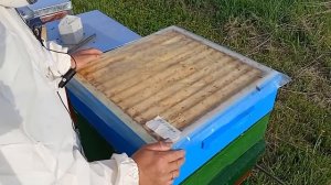 Ставьте магазины не как все.Как не допустить роения. Следующая работа из моей системы пчеловождения.