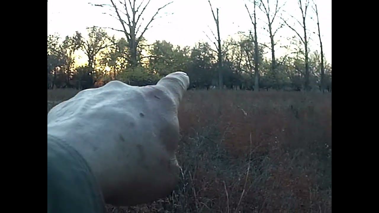 02.11.2024 ЧТО ДЕЛАТЬ? : ЛПХ В ОПАСНОСТИ смотреть онлайн