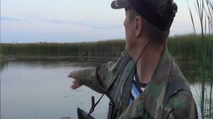 Охота на уток. Вечёрка.