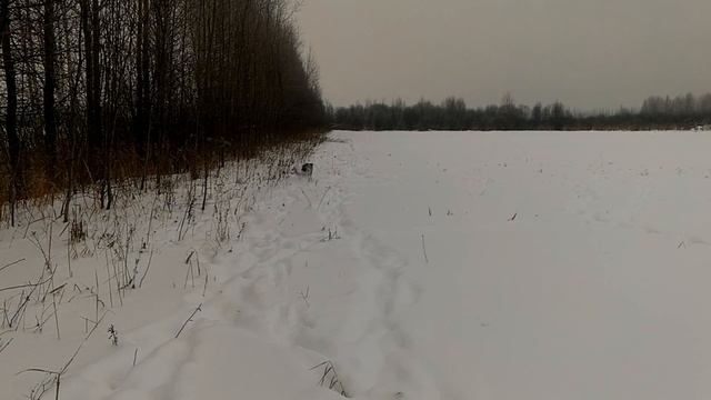 Пегас 17.дек.2016 Электросталь смотреть онлайн