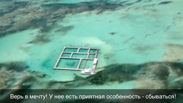 A вы еще не Platinum в FFI смотреть онлайн